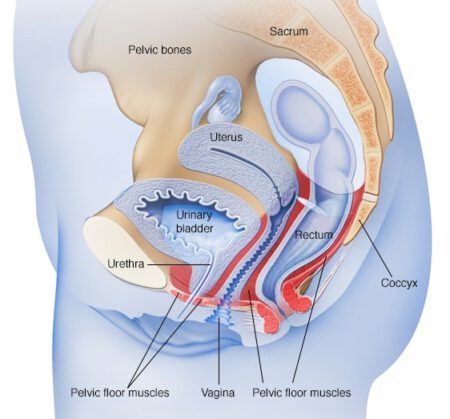 Kegel 1