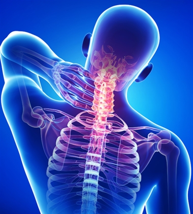 Pelvic Neck