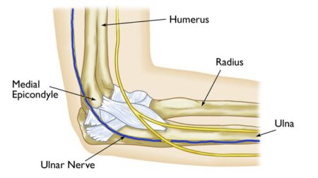 Ulnar Nerve 2