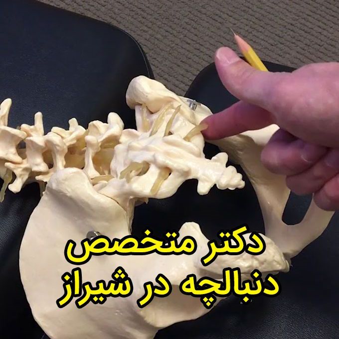دکتر متخصص دنبالچه در شیراز در کلینیک فیزیوتراپی آفتاب، درمان بیرون زدگی و شکستگی دنبالچه ستون فقرات و سیاتیک و تورم و التهاب دنبالچه و افتادن دنبالچه و درمان آبسه دنبالچه و بالشت دنبالچه و حرکات اصلاحی و علائم و عمل جراحی دنبالچه و درمان درد دنبالچه ضربه خورده و ضعف دنبالچه و ضایعه دنبالچه