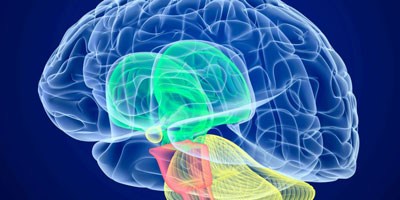 فلج بلز شیراز و معرفی بهترین دکتر فلج بلز در شیراز به همراه مراکز فیزیوتراپی فلج بلز صورت شدید و خفیف با قیمت مناسب رزرو فوری نوبت آنلاین فلج بلز شیراز درمان فلج بلز در شیراز بهترین دکتر فلج بلز در شیراز فلج بلز چیست فلج فلج بلز صورت فلج بلز چیه فلج بلز چشم فلج صورت لج بلز شدید فلج بلز خفیف لج به انگلیسی لج اطفال - فلج بلز اسپاستیک