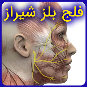 فلج بلز شیراز و معرفی بهترین دکتر فلج بلز در شیراز به همراه مراکز فیزیوتراپی فلج بلز صورت شدید و خفیف با قیمت مناسب رزرو فوری نوبت آنلاین فلج بلز شیراز درمان فلج بلز در شیراز بهترین دکتر فلج بلز در شیراز فلج بلز چیست فلج فلج بلز صورت فلج بلز چیه فلج بلز چشم فلج صورت لج بلز شدید فلج بلز خفیف لج به انگلیسی لج اطفال