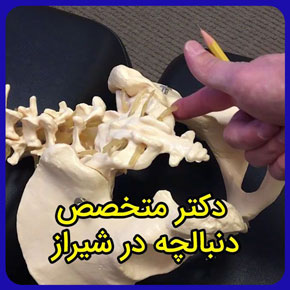 دکتر متخصص دنبالچه در شیراز در کلینیک فیزیوتراپی آفتاب، درمان بیرون زدگی و شکستگی دنبالچه ستون فقرات و سیاتیک و تورم و التهاب دنبالچه و افتادن دنبالچه و درمان آبسه دنبالچه و بالشت دنبالچه و حرکات اصلاحی و علائم و عمل جراحی دنبالچه و درمان درد دنبالچه ضربه خورده و ضعف دنبالچه و ضایعه دنبالچه