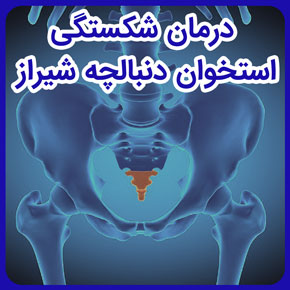 درمان شکستگی استخوان دنبالچه شیراز و شکستگی استخوان دنبالچه و درمان و روش درمان شکستگی استخوان دنبالچه و روش درمان شکستگی استخوان دنبالچه